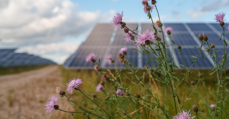 Statkraft i Better Energy poszerzają współpracę  o trzy kolejne farmy fotowoltaiczne