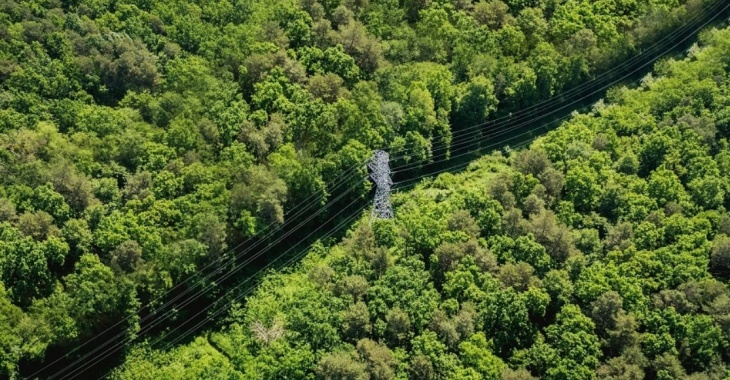 Kolejne trzy oddziały PGE Dystrybucja z dofinansowaniem z Ministerstwa Klimatu i Środowiska Kolejne trzy oddziały PGE Dystrybucja z dofinansowaniem z Ministerstwa Klimatu i Środowiska
