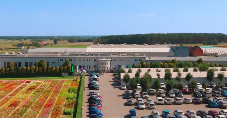 Zielona energia rośnie w siłę – nowe możliwości dla przedsiębiorstw