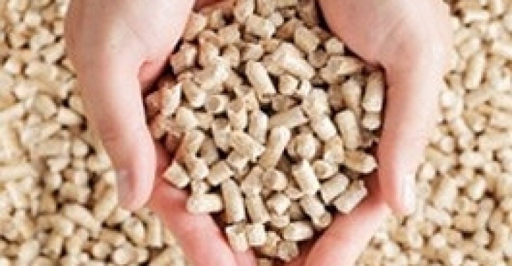 Biopaliwa ratunkiem dla atmosfery Biopaliwa ratunkiem dla atmosfery