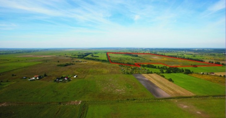 Witnica: Gotowe działki pod farmy fotowoltaiczne Witnica: Gotowe działki pod farmy fotowoltaiczne