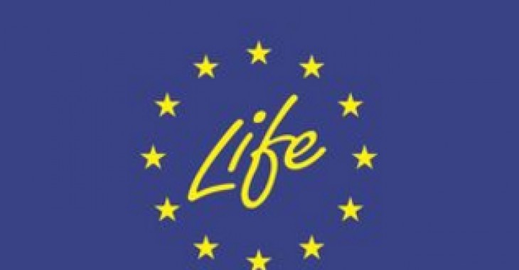 Wstępny harmonogram naboru wniosków do Programu LIFE Wstępny harmonogram naboru wniosków do Programu LIFE