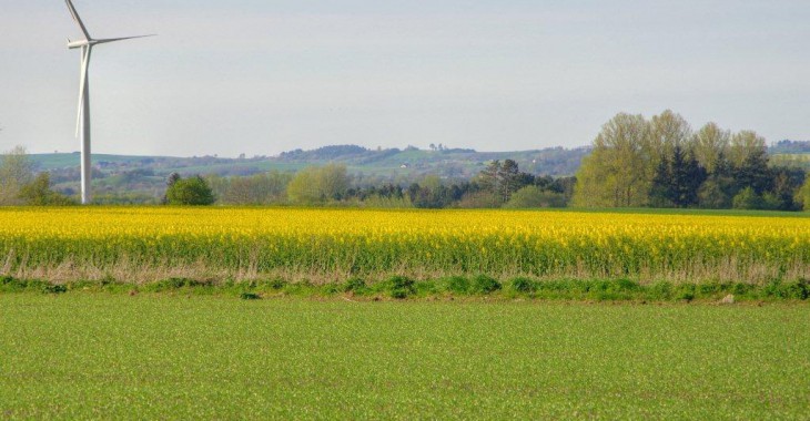 Regulacje dla farm wiatrowych wymagają poprawy