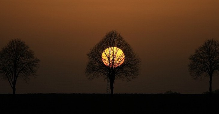 Lampy solarne czyli słońce, które świeci nocą