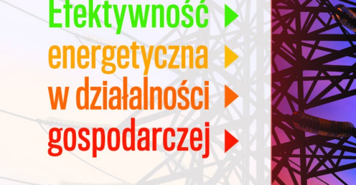 Efektywność energetyczna w działalności gospodarczej Efektywność energetyczna w działalności gospodarczej
