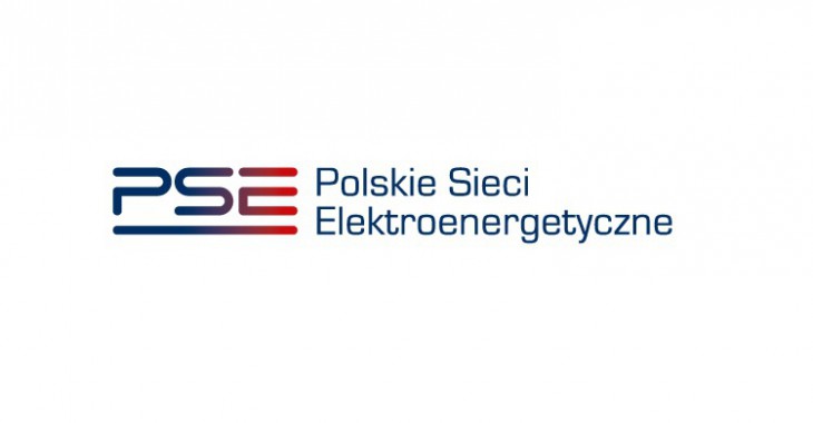 PSE partnerem branżowym PSE partnerem branżowym