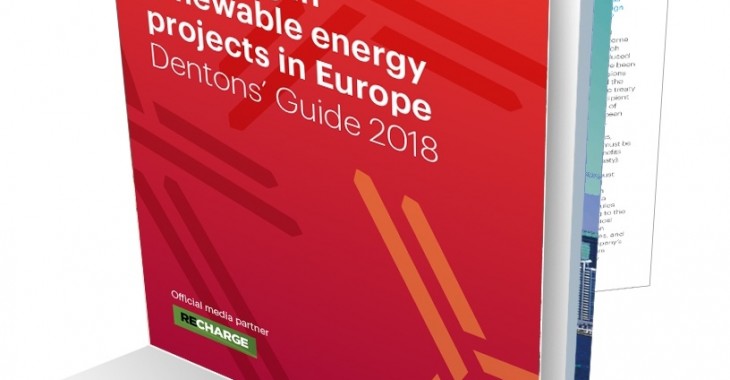 Przewodnik: Inwestycje w projekty energii odnawialnej w Europie Przewodnik: Inwestycje w projekty energii odnawialnej w Europie