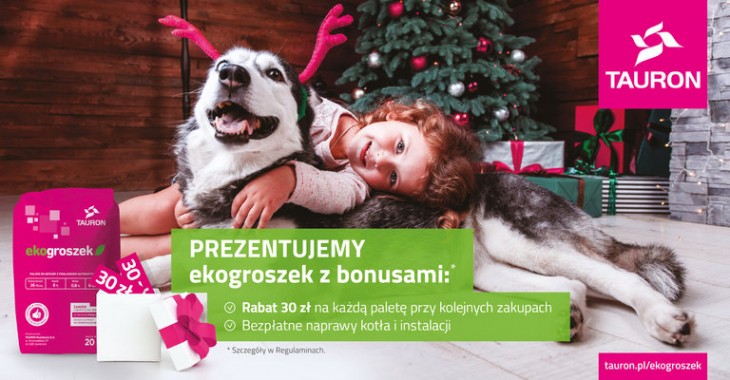 Ekogroszek z internetu dostępny w całej Polsce Ekogroszek z internetu dostępny w całej Polsce
