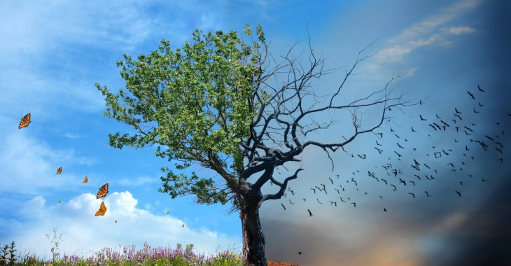 Polska nie jest przygotowana na globalne zmiany klimatyczne Polska nie jest przygotowana na globalne zmiany klimatyczne