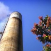 CO2 i SO2 w dół CO2 i SO2 w dół