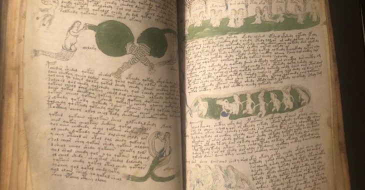 O co chodzi w „ustawie o prądzie”? Już łatwiej odcyfrować manuskrypt Voynicha. O co chodzi w „ustawie o prądzie”? Już łatwiej odcyfrować manuskrypt Voynicha.