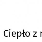 Świąteczna choinka jako ekologiczne paliwo Świąteczna choinka jako ekologiczne paliwo