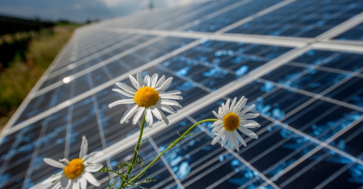 Energa zbuduje kolejną farmę fotowoltaiczną Energa zbuduje kolejną farmę fotowoltaiczną