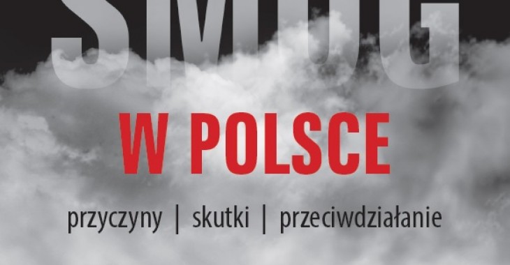Smog w Polsce. Przyczyny, skutki, przeciwdziałanie