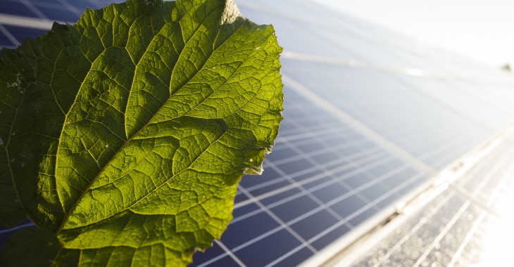Trzykrotny wzrost mikroinstalacji w sieci Energi Trzykrotny wzrost mikroinstalacji w sieci Energi