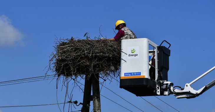 Wiosną Energa wita bociany