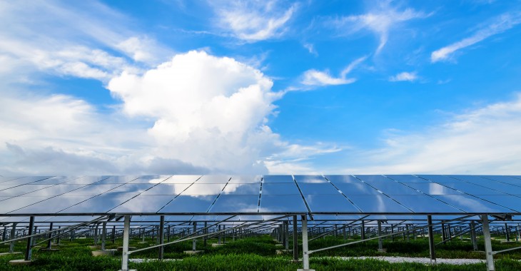 UNIMOT wchodzi w rynek fotowoltaiki z marką AVIA Solar