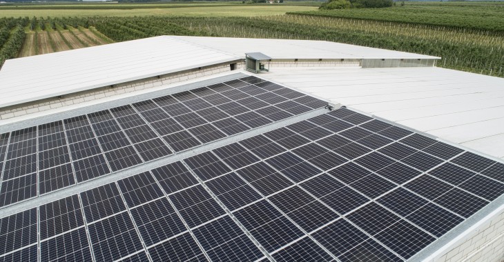 Energetyka słoneczna stała się opłacalnym biznesem. W tym roku obroty branży mają wzrosnąć o 25 proc. Energetyka słoneczna stała się opłacalnym biznesem. W tym roku obroty branży mają wzrosnąć o 25 proc.