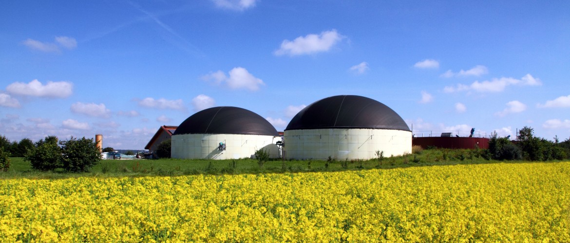 Webinarium BMP: Biogaz w energetyce 