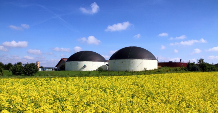 Webinarium BMP: Biogaz w energetyce Webinarium BMP: Biogaz w energetyce