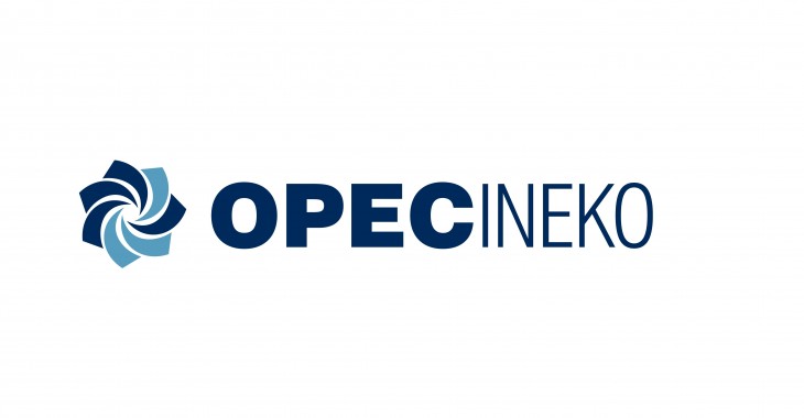 OPEC-INEKO wybrał inżyniera kontraktu dla nowej jednostki biomasowej w Grudziądzu
