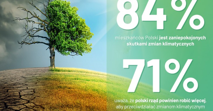 Polacy nie boją się wiatraków Polacy nie boją się wiatraków