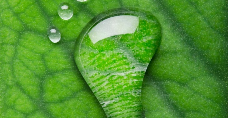 BASF potwierdza ambitne cele klimatyczne BASF potwierdza ambitne cele klimatyczne