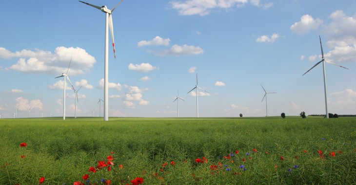 EDP uruchamia Energy Starter 2022, program  promujący innowacyjne inicjatywy w sektorze energetycznym