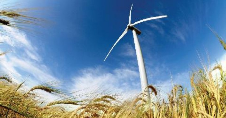 Czy zagrażają nam elektrownie wiatrowe Czy zagrażają nam elektrownie wiatrowe