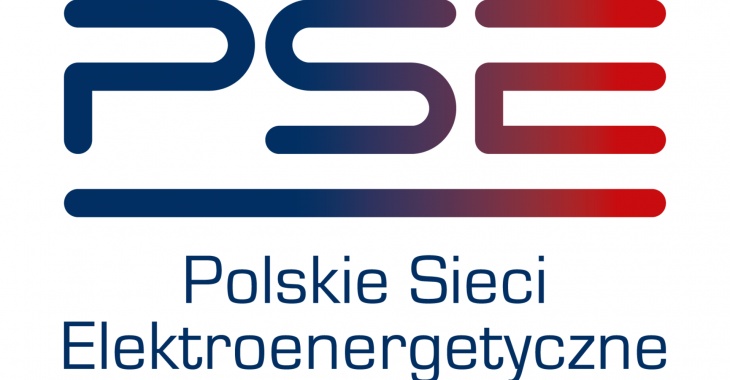 Polskie Sieci Elektroenergetyczne z patronatem honorowym