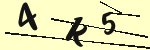CAPTCHA Image